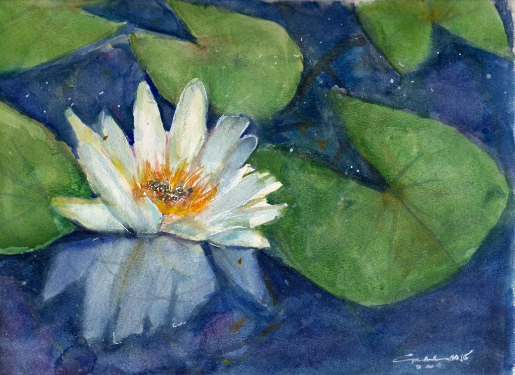Lotus and Lilypads 2015