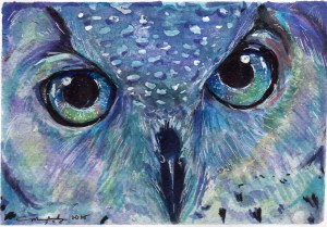 Stardust owl
