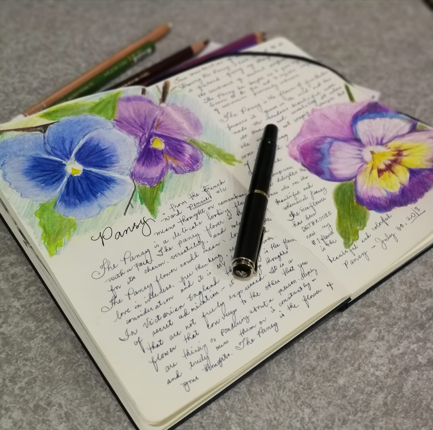 37997801_10160951541135085_2500398276033904640_o