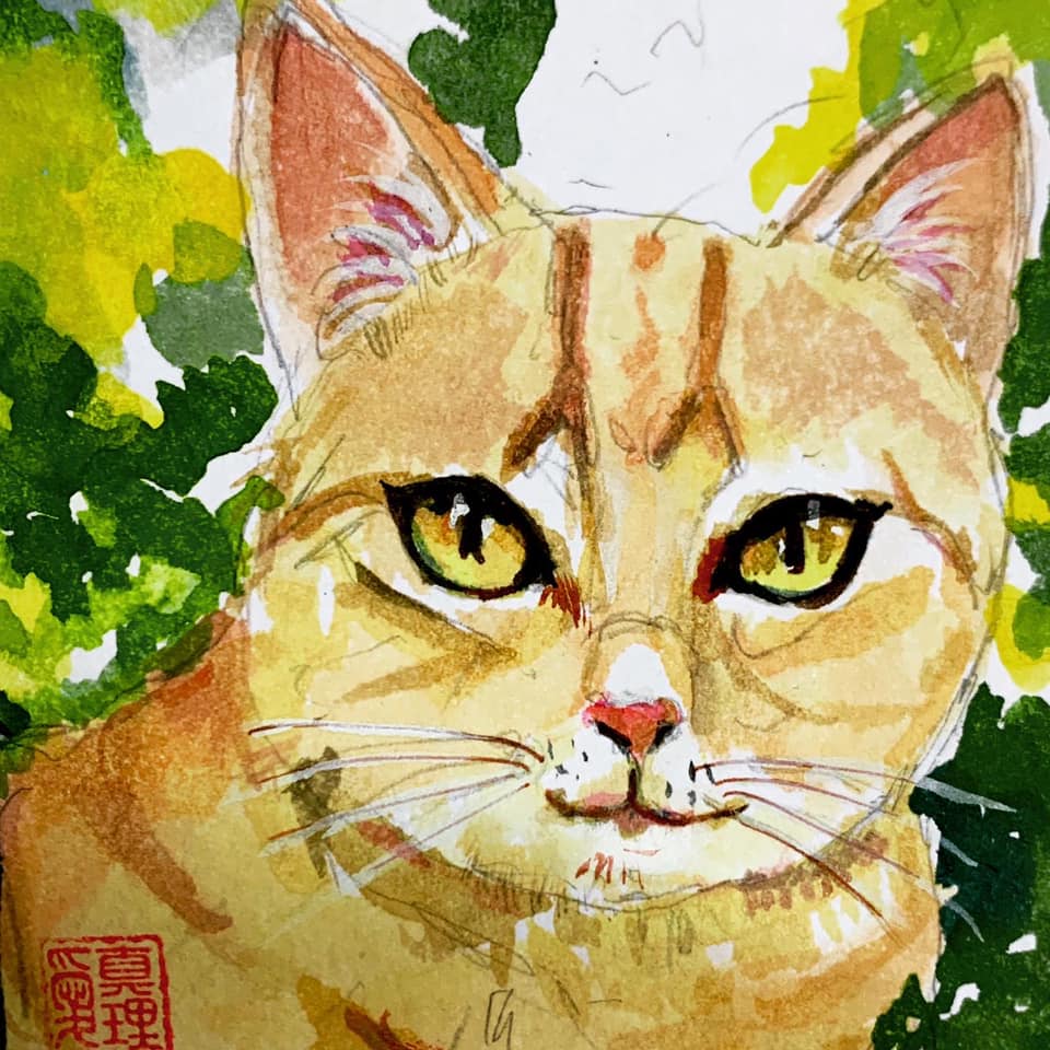 105846827_3267863989931850_2016179324587210349_n