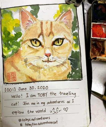 Toby the Cat's Diary